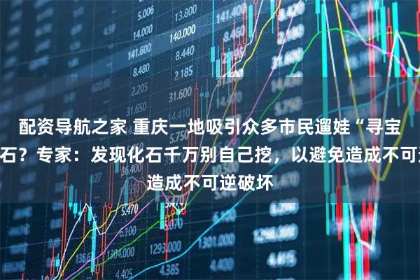 配资导航之家 重庆一地吸引众多市民遛娃“寻宝”挖化石?专家:发现化石千万别自己挖,以避免造成不可逆破坏