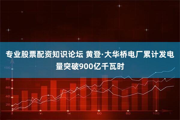 专业股票配资知识论坛 黄登·大华桥电厂累计发电量突破900亿千瓦时